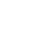 Plattenservice Icon