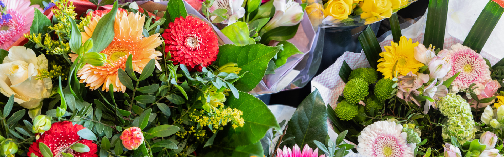 Blumen