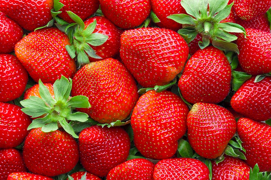 Erdbeeren